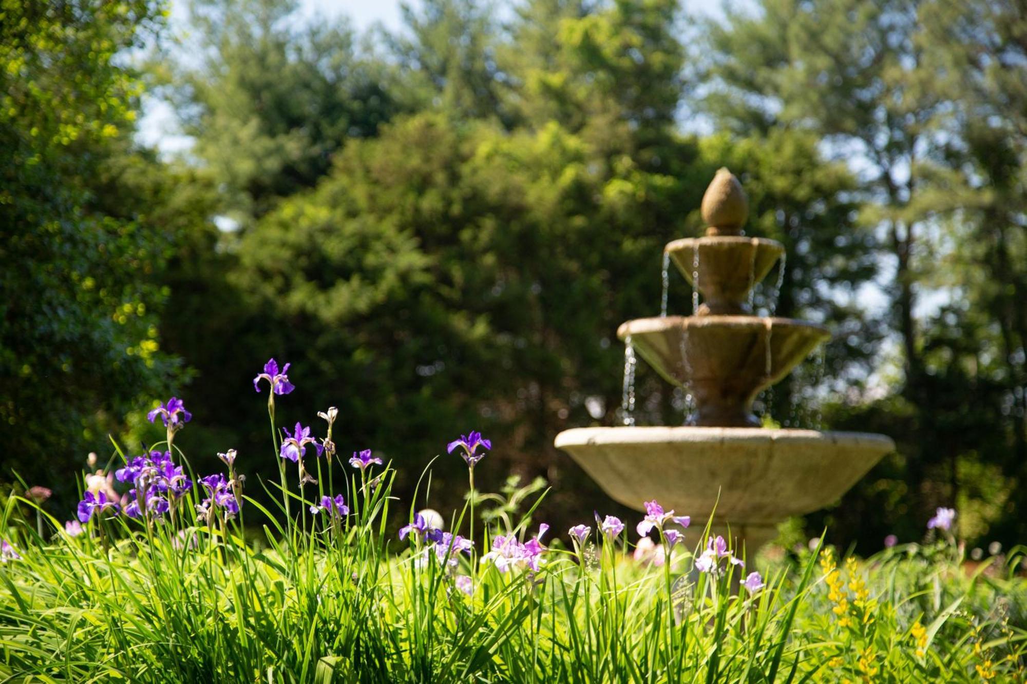 Bed and Breakfast Brampton 1860 Chestertown Zewnętrze zdjęcie